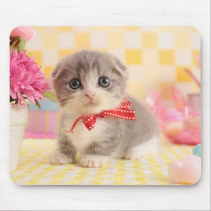 Munchkin Kitten Mouse Pad