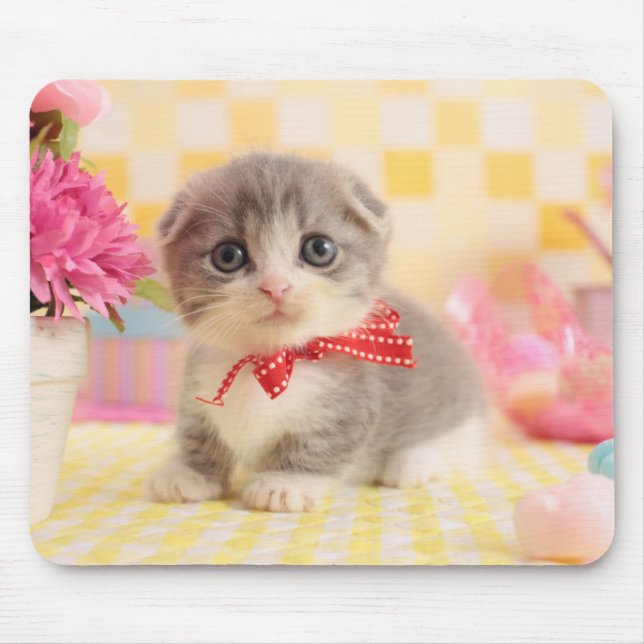 Munchkin Kitten Mouse Pad (Front)