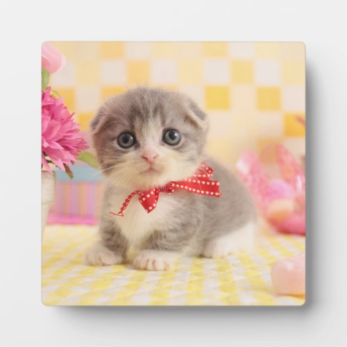 Munchkin Kitten Plaque