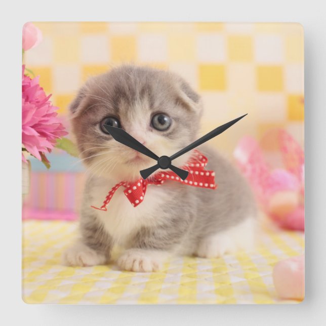 Munchkin Kitten Square Wall Clock (Front)