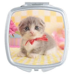 Munchkin Kitten Vanity Mirror