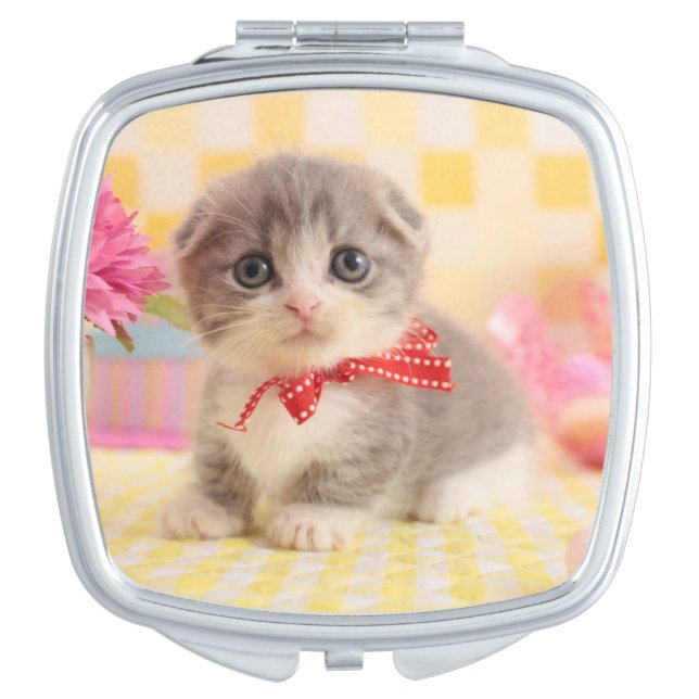 Munchkin Kitten Vanity Mirror (Front)