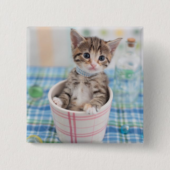 Munchkin Kitten With Pretty Ribbon Button (Front)