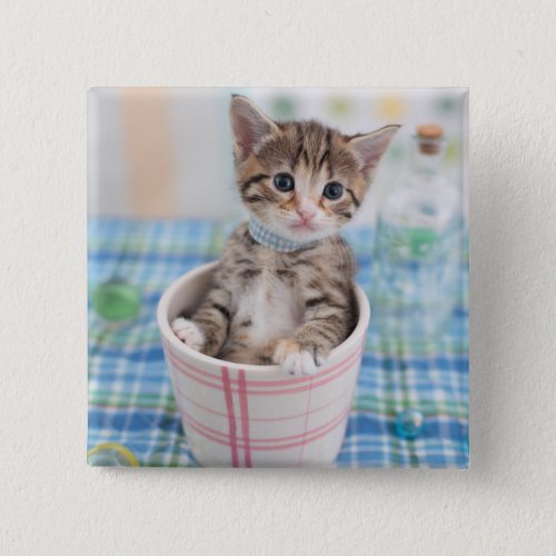 Munchkin Kitten With Pretty Ribbon Button