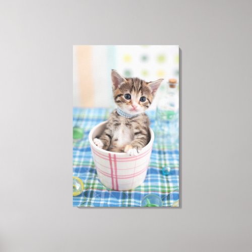 Munchkin Kitten With Pretty Ribbon Canvas Print