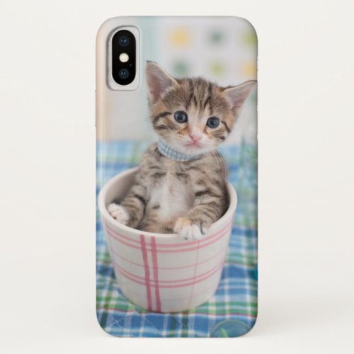 Munchkin Kitten With Pretty Ribbon iPhone X Case