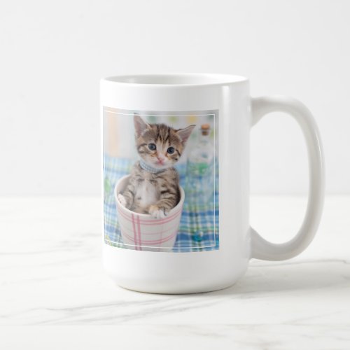 Munchkin Kitten With Pretty Ribbon Coffee Mug