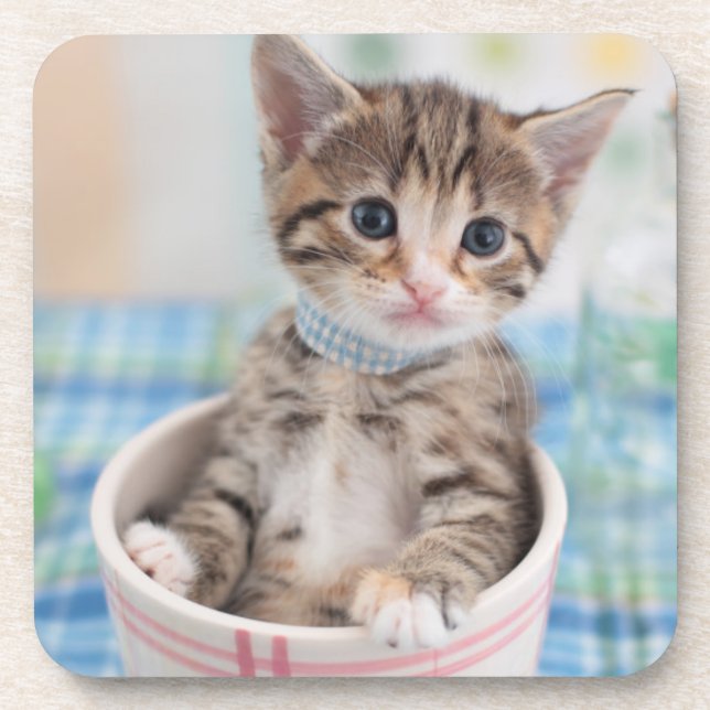 Munchkin Kitten With Pretty Ribbon Drink Coaster (Front)