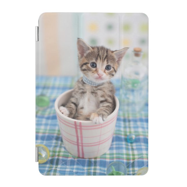 Munchkin Kitten With Pretty Ribbon iPad Mini Cover (Front)