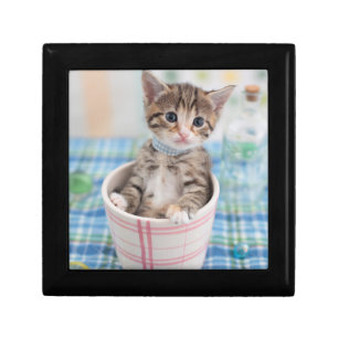 Munchkin Kitten With Pretty Ribbon Keepsake Box