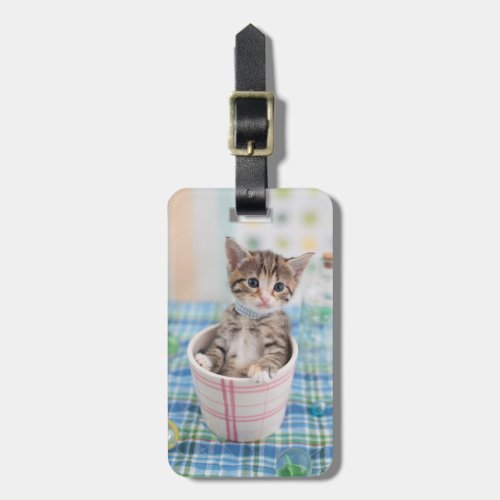 Munchkin Kitten With Pretty Ribbon Luggage Tag
