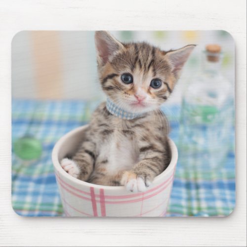 Munchkin Kitten With Pretty Ribbon Mouse Pad