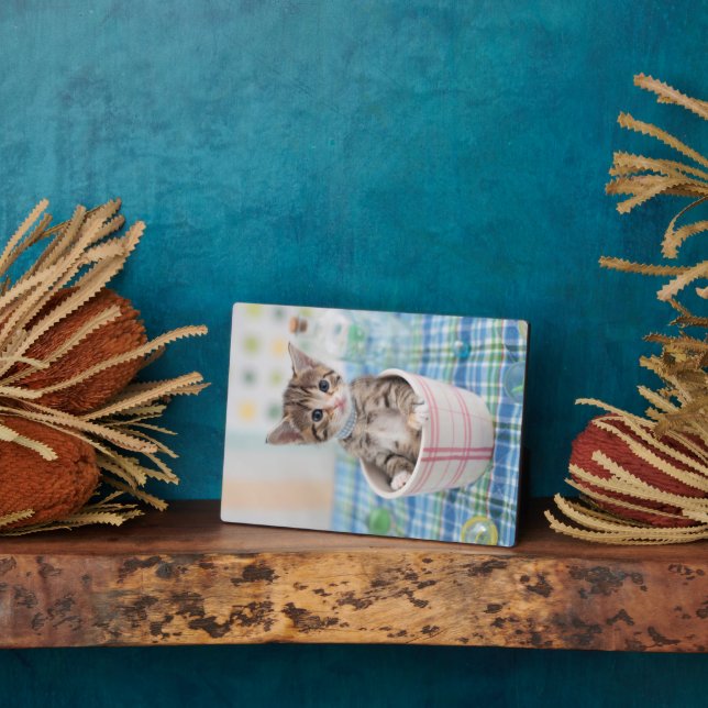 Munchkin Kitten With Pretty Ribbon Plaque (Side)