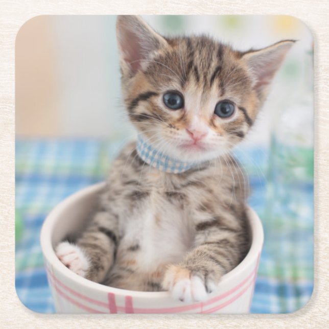 Munchkin Kitten With Pretty Ribbon Square Paper Coaster (Front)