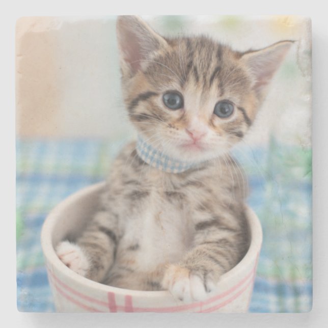 Munchkin Kitten With Pretty Ribbon Stone Coaster (Front)