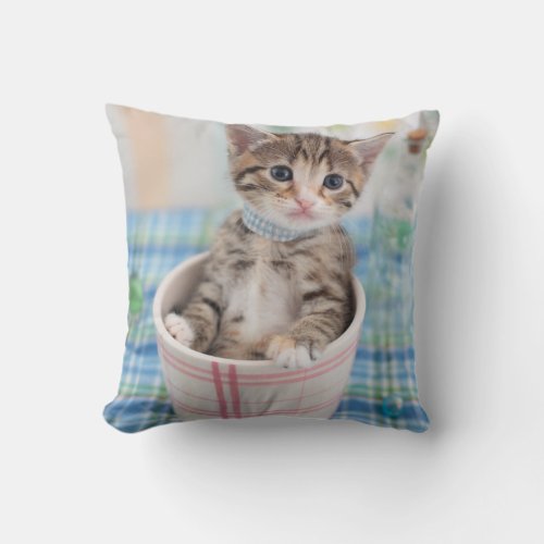 Munchkin Kitten With Pretty Ribbon Throw Pillow