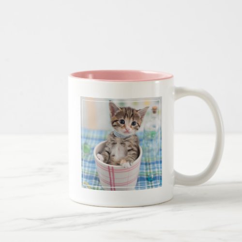 Munchkin Kitten With Pretty Ribbon Two_Tone Coffee Mug