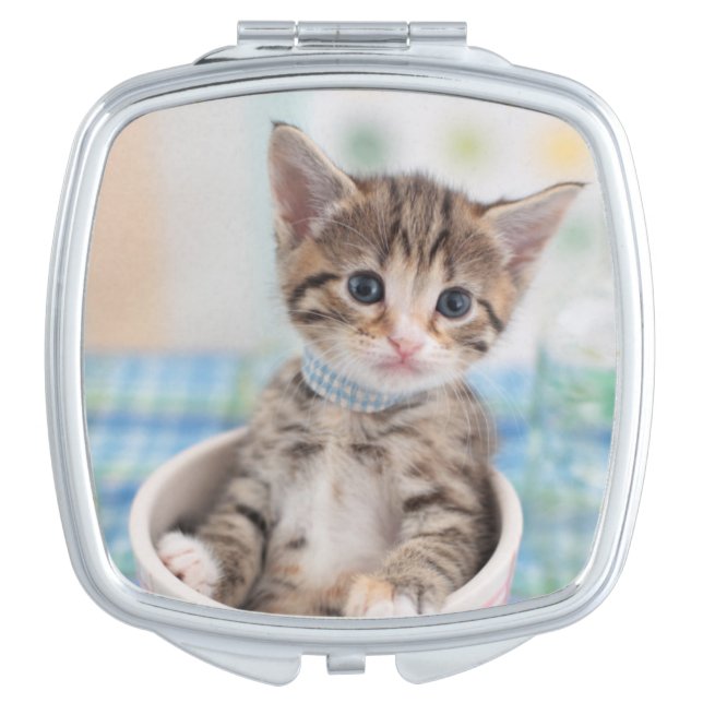 Munchkin Kitten With Pretty Ribbon Vanity Mirror (Front)