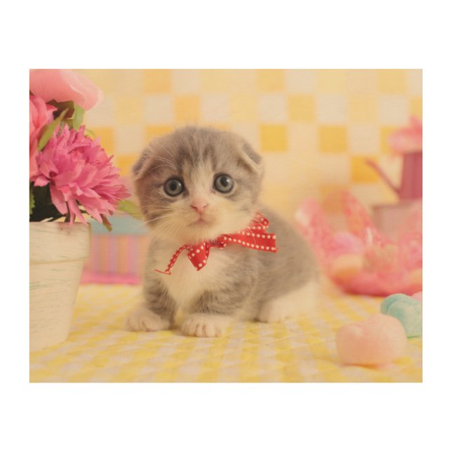 Munchkin Kitten Wood Wall Decor (Front)