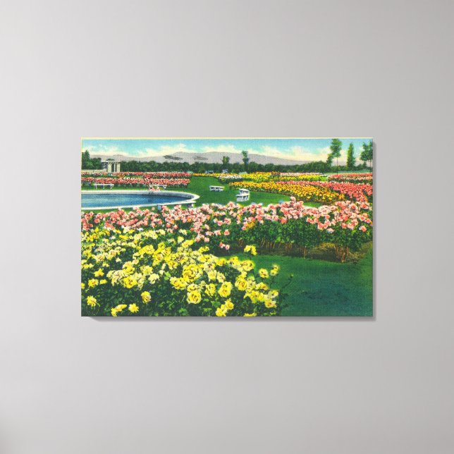 Municipal Rose Garden in Santa Clara County Canvas Print (Front)