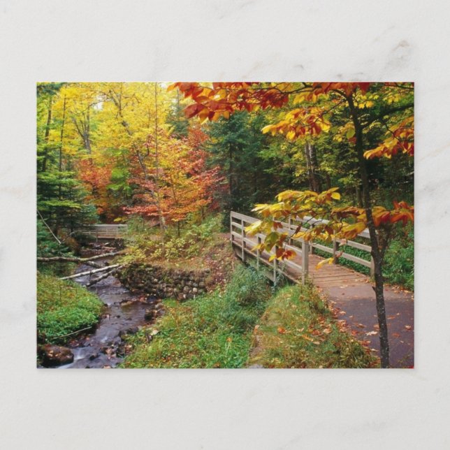 Munising Falls Trail, Alger County, Michigan Postcard (Front)