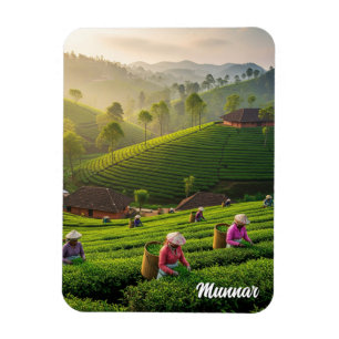 Munnar Kerala India Tea Plantation Magnet