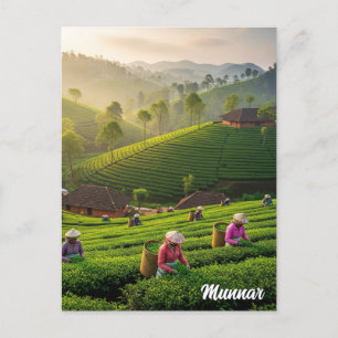 Munnar Kerala India Tea Plantation Postcard