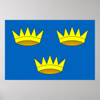 Munster, Ireland flag Poster