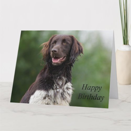 Munsterlander dog beautiful custom birthday card