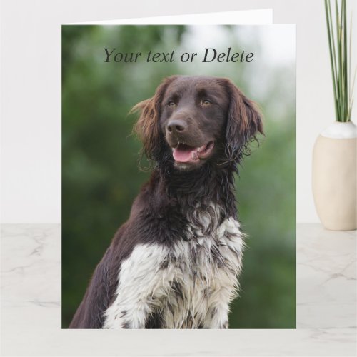 Munsterlander dog beautiful custom greeting card