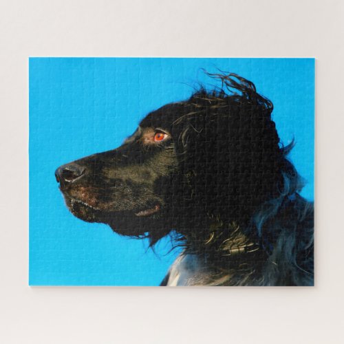 Munsterlander Dog Jigsaw Puzzle