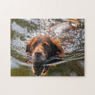 Munsterlander Dog. Jigsaw Puzzle
