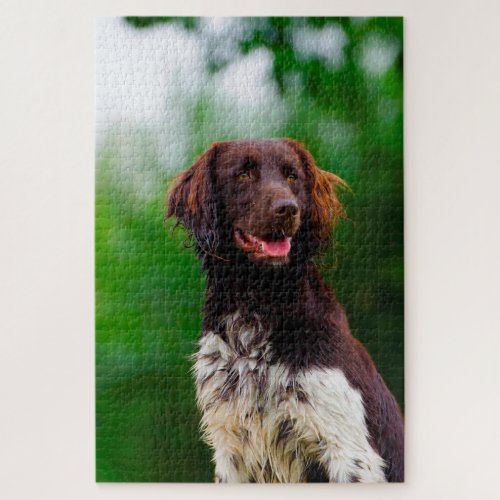 Munsterlander Dog Jigsaw Puzzle