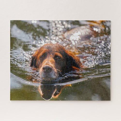 Munsterlander Dog Jigsaw Puzzle