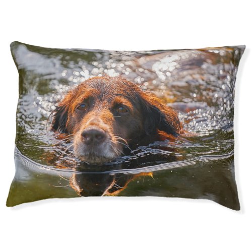 Munsterlander Dog Pet Bed