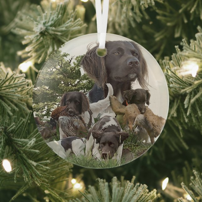  Munsterlander  Glass Ornament (Insitu)