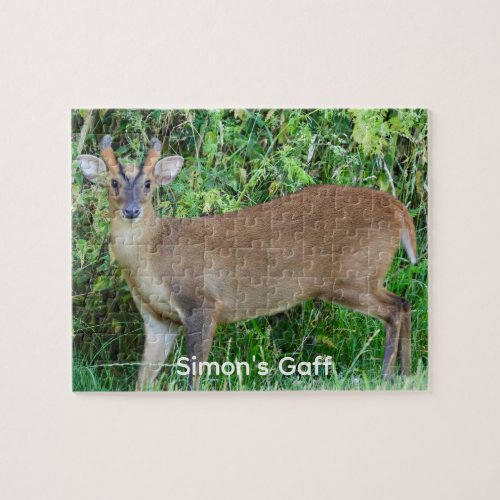 Muntjac Deer Wild Photo Personalized Jigsaw Puzzle