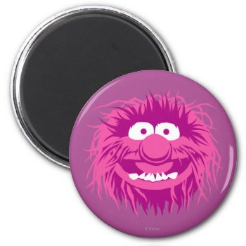Muppets Animal 2 Magnet by muppets at Zazzle