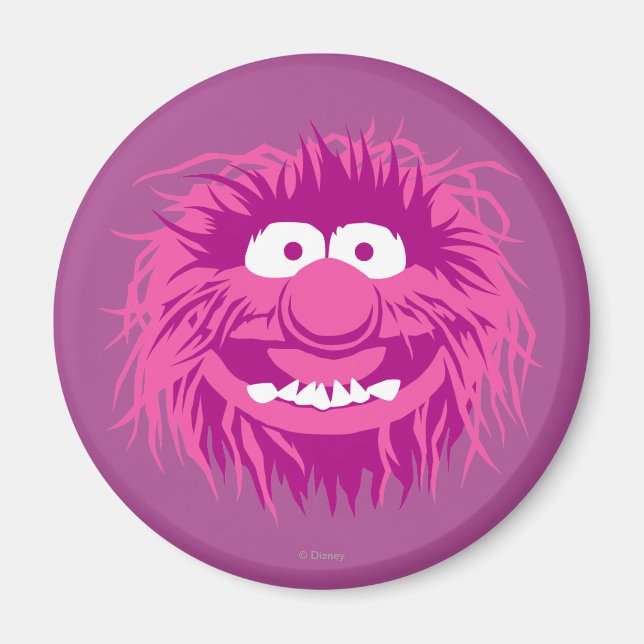 Muppets Animal 2 Magnet (Front)