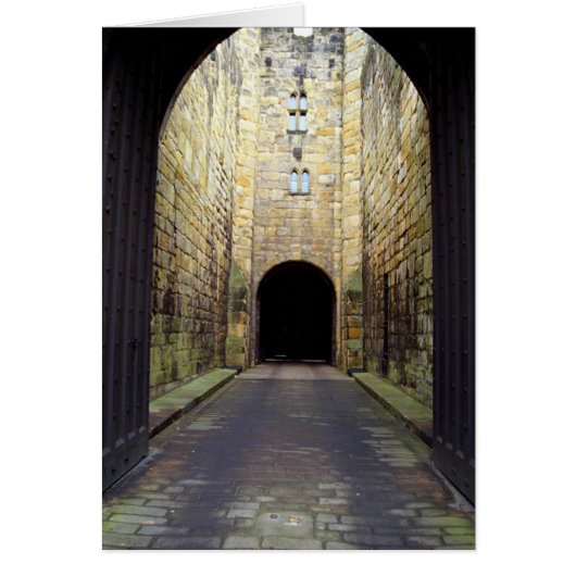 Murder Corridor, Barbican, Alnwick Castle, Northum (Front)
