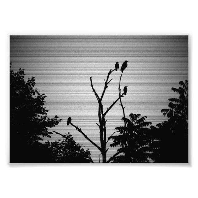 Murder of Crows in a Dead Tree (Spooky Version) Photo Print (Front)