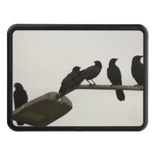 Murder on the street light hitch cover