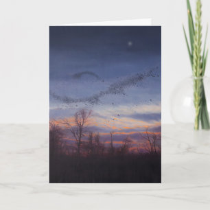 Murmuration Holiday Card