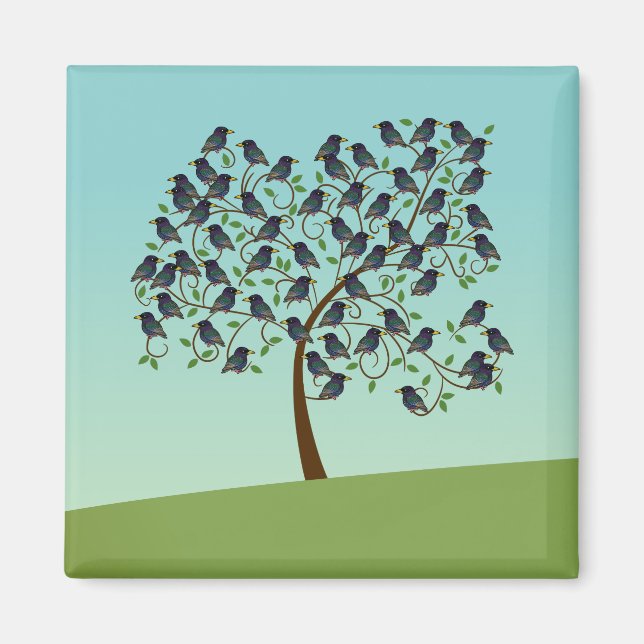 Murmuration of Starlings Magnet (Front)