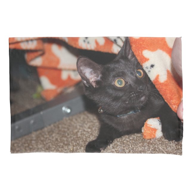 Murphy   pillow case (Front)