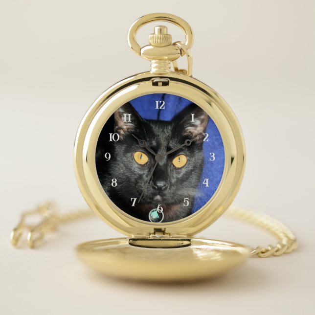 Murphy Pocket Watch (Inside)