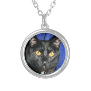 Murphy Silver Plated Necklace