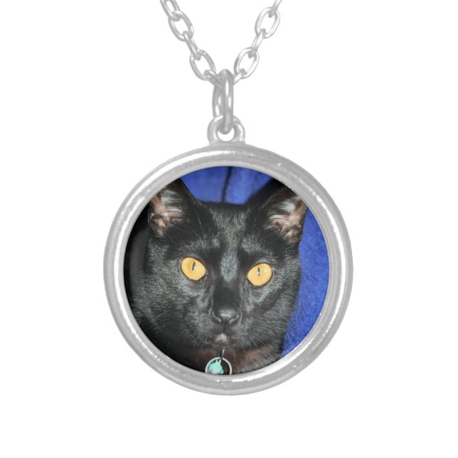 Murphy Silver Plated Necklace (Front)