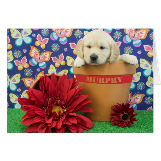 Murphy, week 5 photo cards (Front Horizontal)