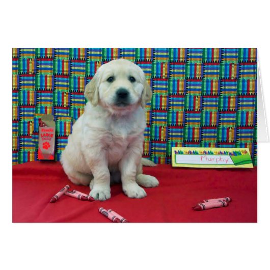 Murphy week 6 (Front Horizontal)